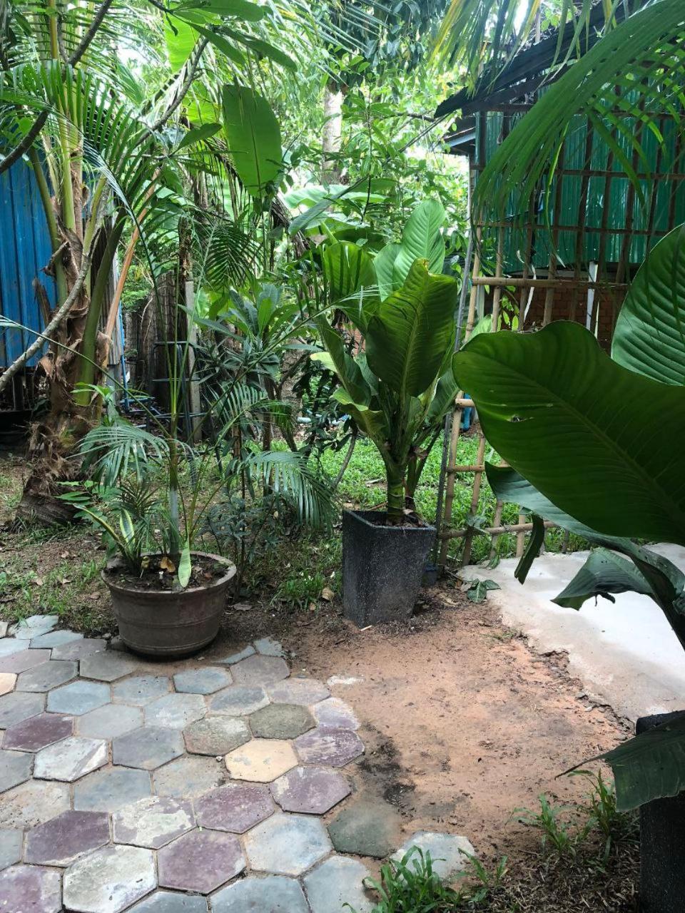 Sok Phen Homestay Siem Reap Exterior foto