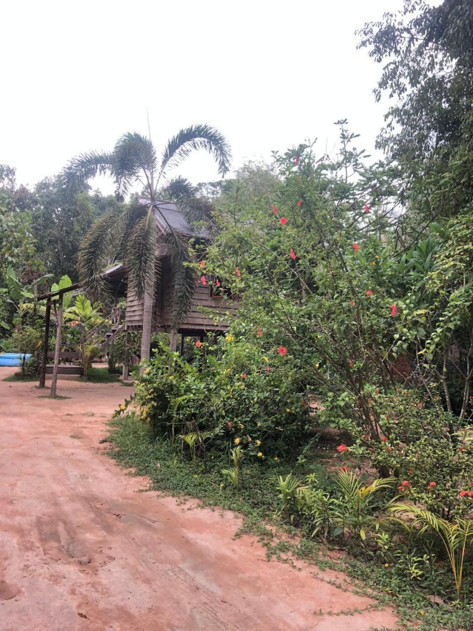 Sok Phen Homestay Siem Reap Exterior foto